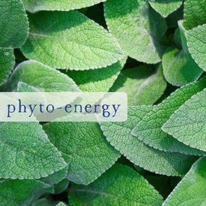 Phyto-Energy Healing