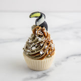 Toucan Cupcake